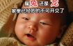 大年三十出生男宝宝命运如何？除夕夜诞生的男孩运势解析
